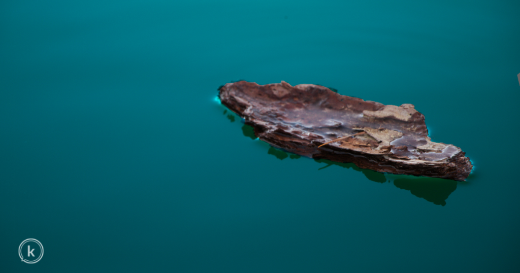 Bark floating on water